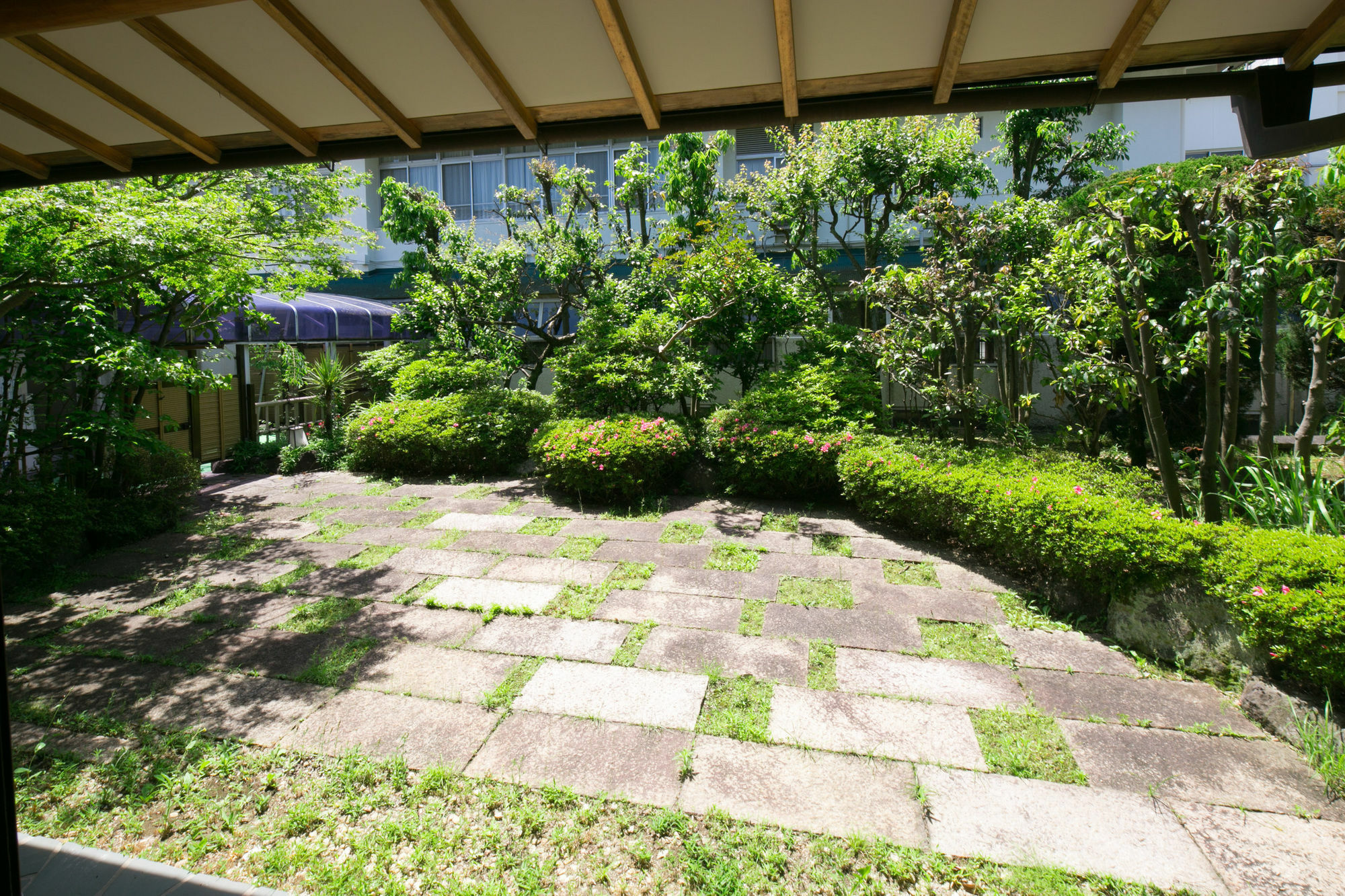 Yugawara-Onsen Manyoso Hotel Ngoại thất bức ảnh