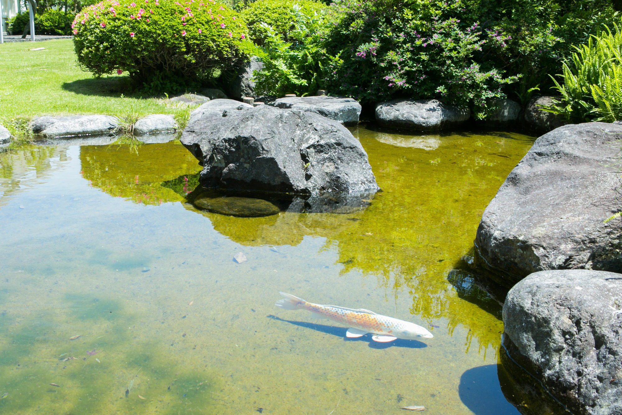 Yugawara-Onsen Manyoso Hotel Ngoại thất bức ảnh