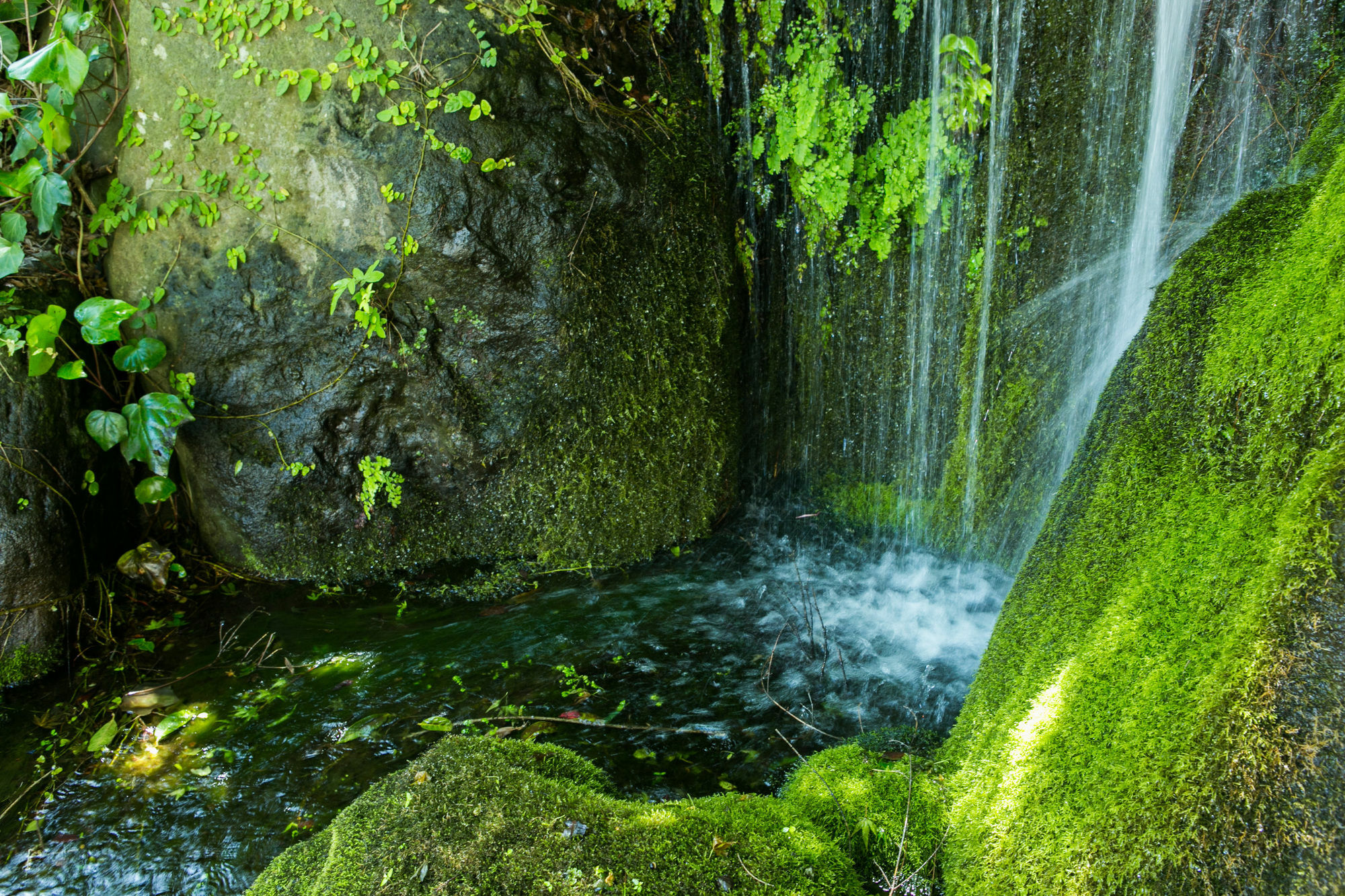 Yugawara-Onsen Manyoso Hotel Ngoại thất bức ảnh